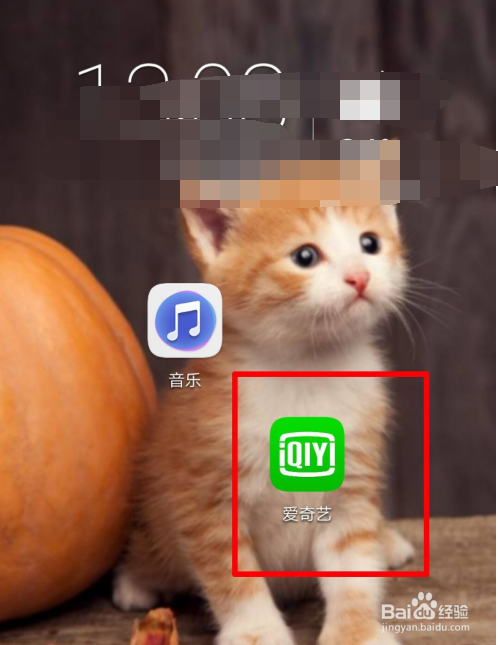 爱奇艺的扫一扫在哪
