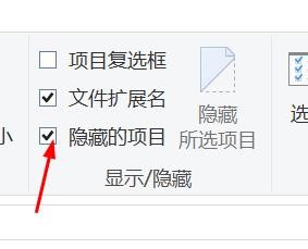 如何查看隐藏的文件项目