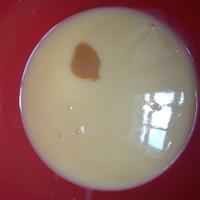 椰香牛奶雪洛可冰淇淋的做法步骤