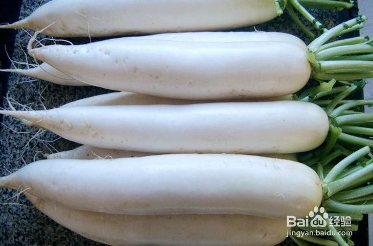 冬天的萝卜怎样储存更好