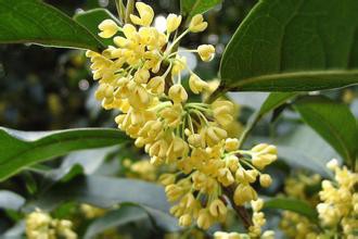 阳澄湖自驾旅游攻略