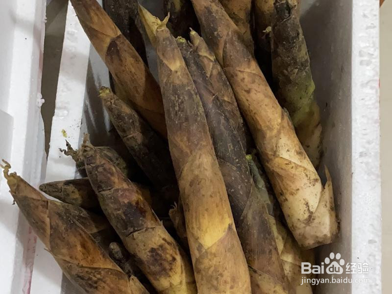 经典春笋烧肉的做法