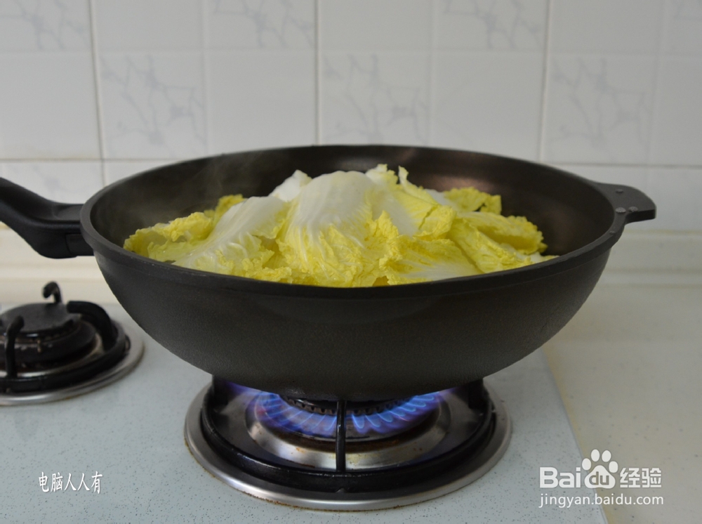 系列美食：[55]菜肉馄饨