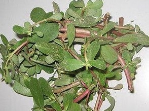 怀孕期间的那些事