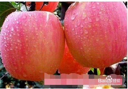 给图片水印打马赛克的简单方法
