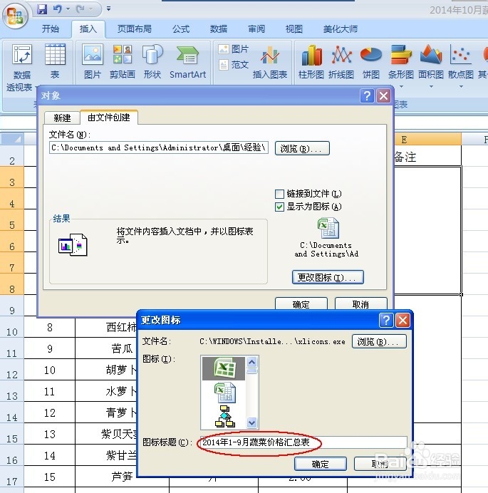 如何在Excel表格中插入其它对象文件