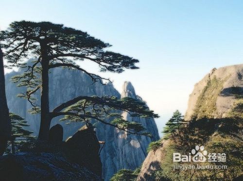 上海到杭州千岛湖二日游