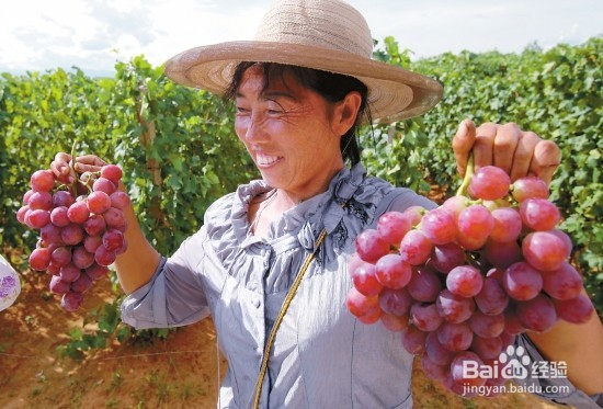 大理冬季旅游线路,冬季旅游攻略