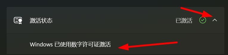 Windows11如何查看系统的激活方式