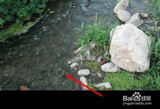 ps中如何用污点修复画笔清除不需要的影像