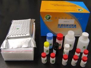 现在治疗急性肾小球肾炎的方法有哪些