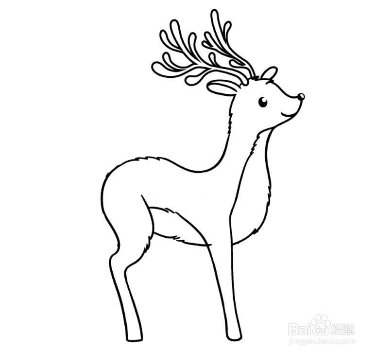 鹿的耳朵简笔画图片