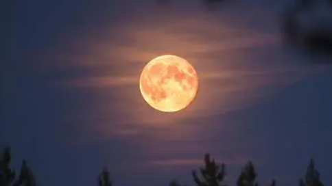 请用简洁的语言概括王飙的祖国的月光