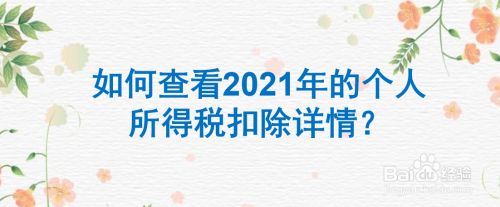 如何查看2021年的个人所得税扣除详情