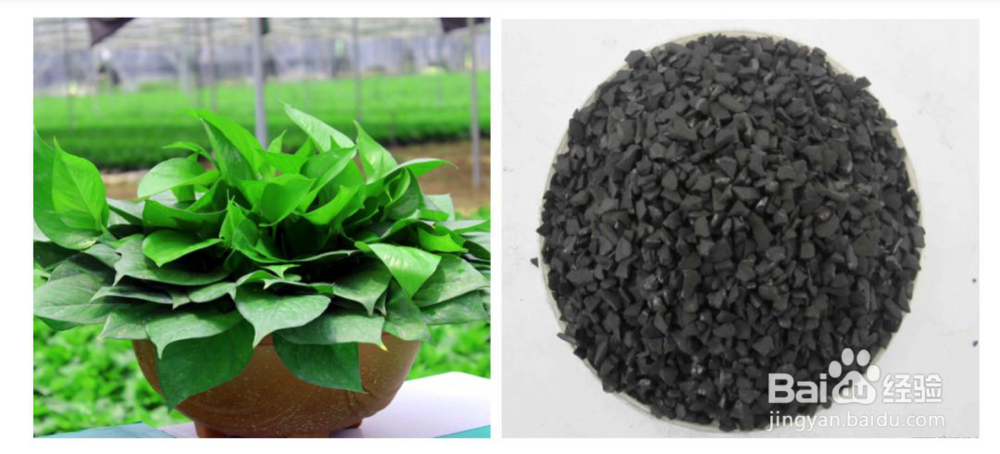 淡蓝色环境科普：室内空气净化与治理有何不同？