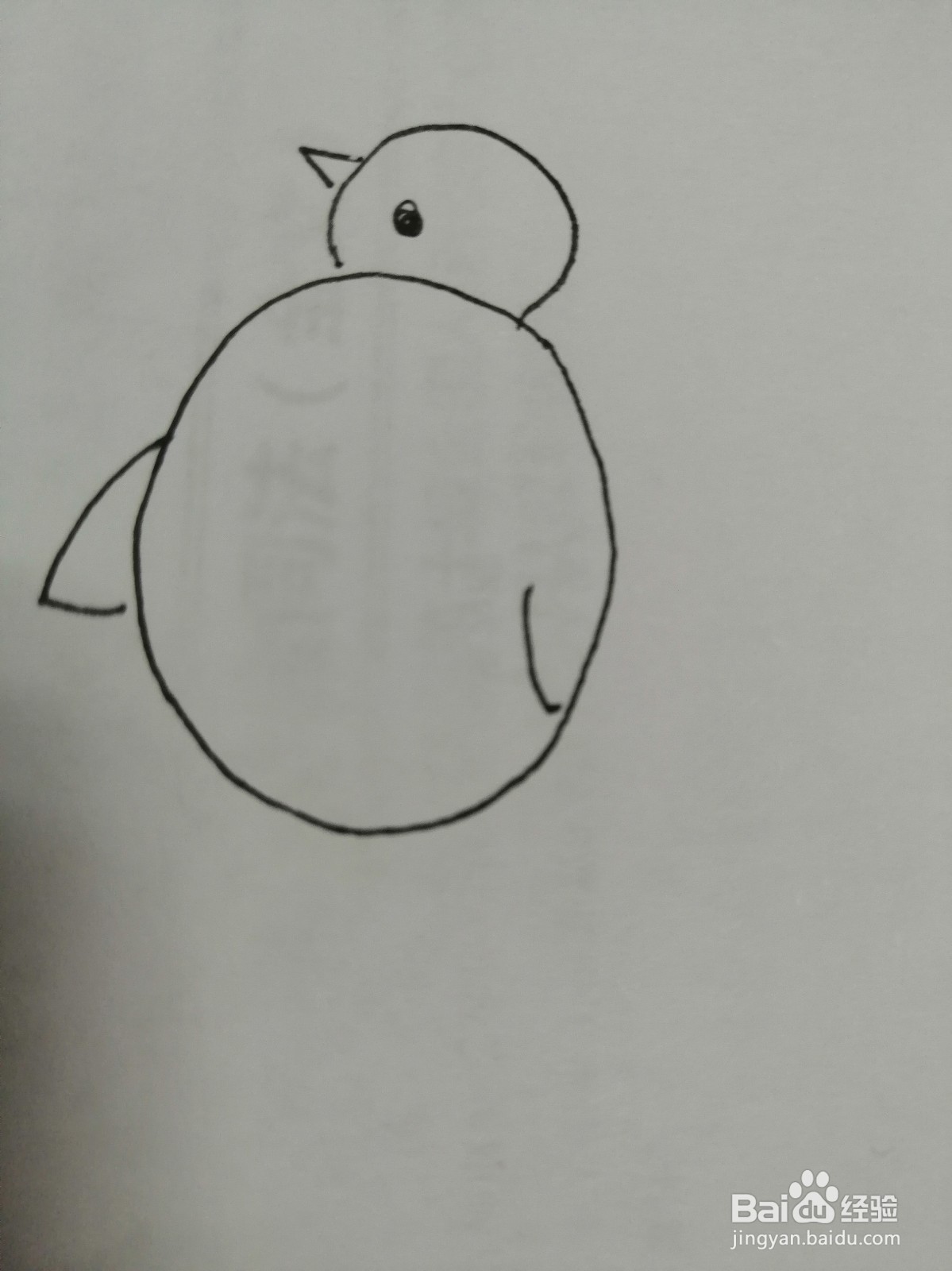 简笔画可爱的小鸡怎么画