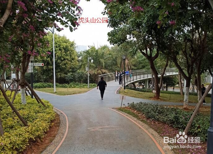 厦门山海步道游玩攻略