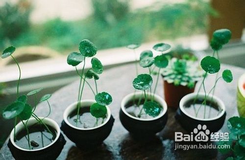 如何提高少年儿童学习兴趣