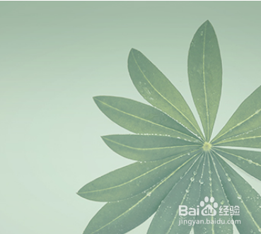 QQ浏览器怎样设置护眼皮肤?