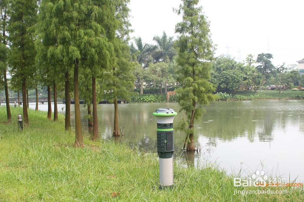 私家庭院如何防治蚊虫