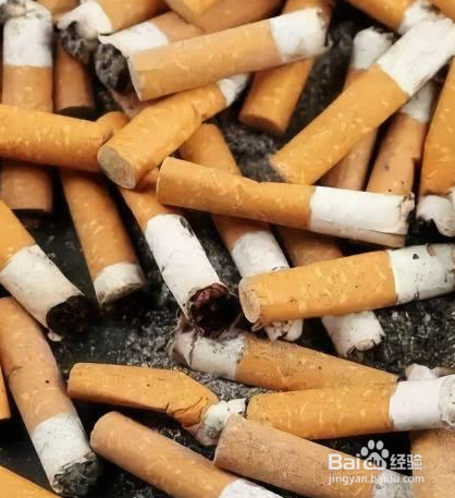 去除小飞虫的小妙招