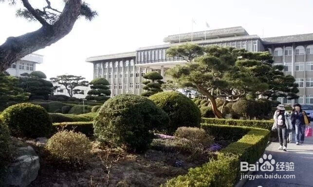 韩国十大美丽大学