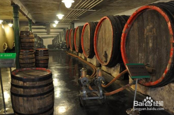 旅游青岛最全攻略,把我认识的青岛全部打包给你