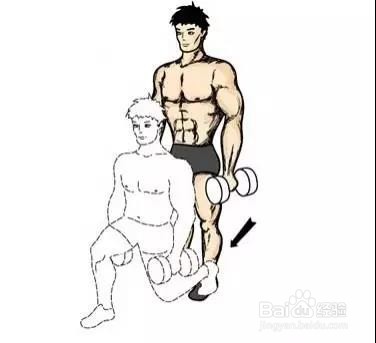 只需一对哑铃,在家锻炼全身肌肉!