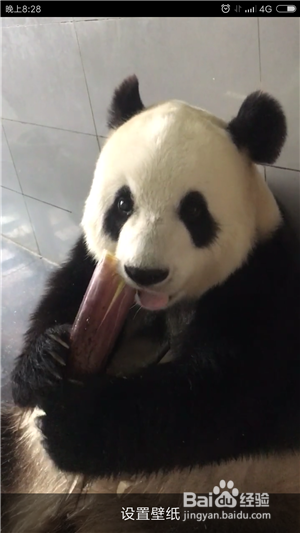 抖音短视频如何设置成手机屏保？