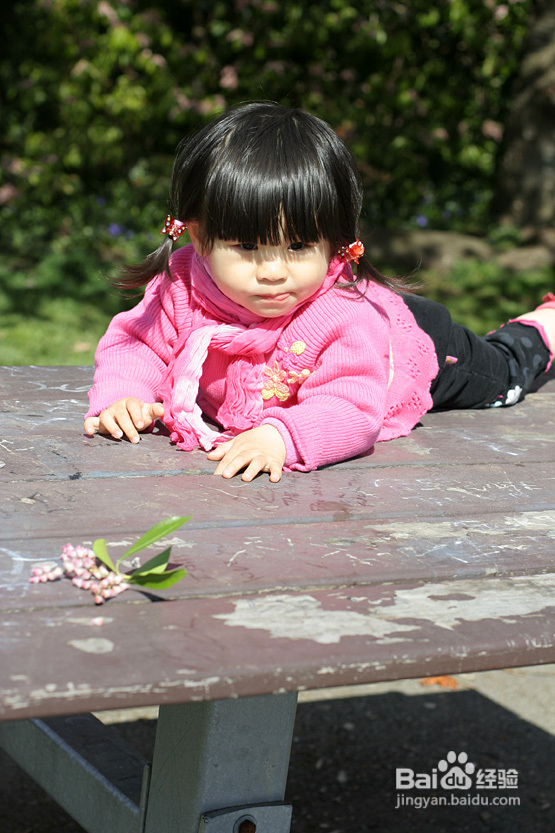 菲比带你看加国--空中列车&樱花（图）