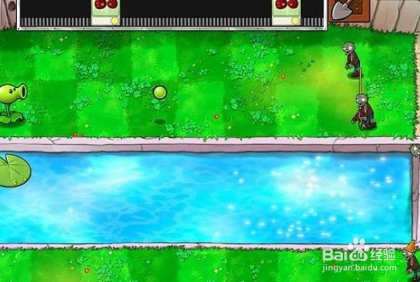 植物大战僵尸泳池5-6关攻略
