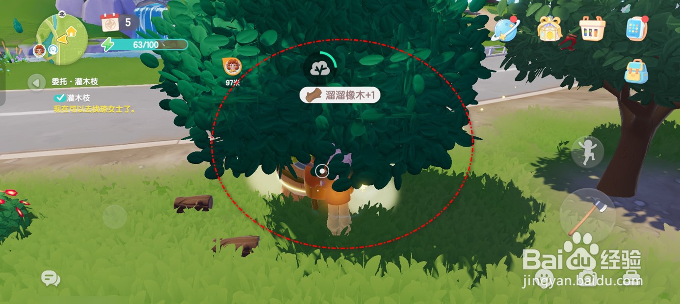 心动小镇怎么砍树获得溜溜橡木