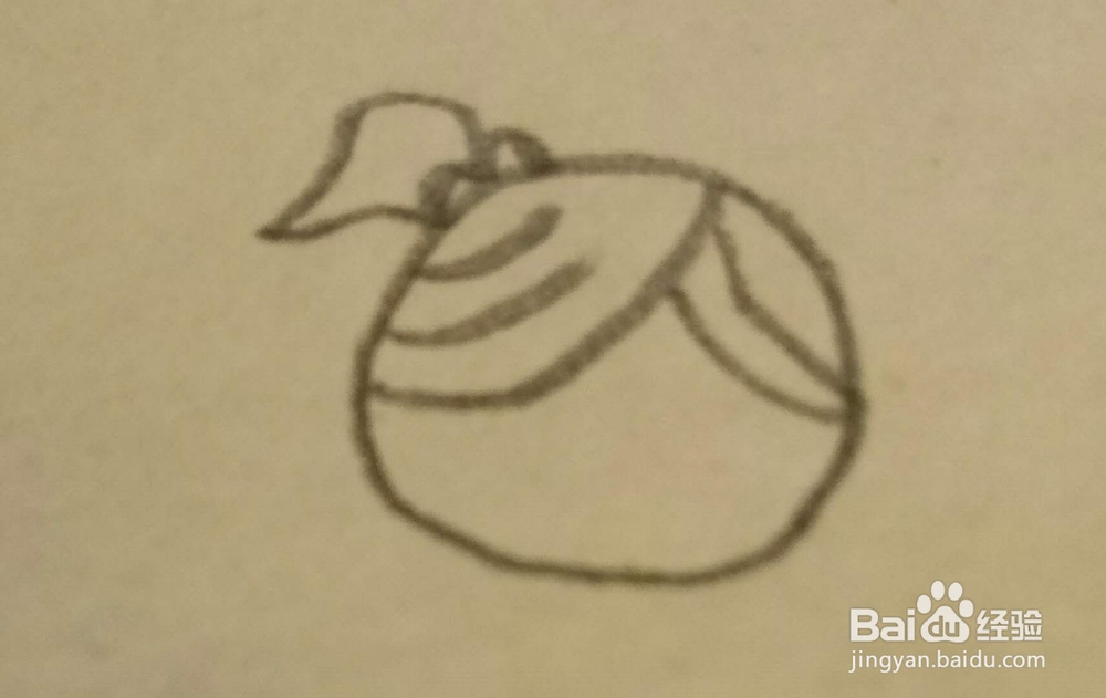 简笔画扎马尾的女孩头像