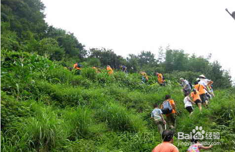 程序员如何脱光：[1]外在篇