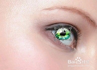 给眼睛添加美瞳