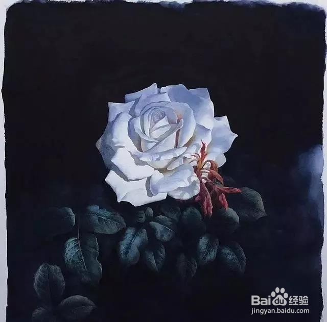 水彩玫瑰花的画法