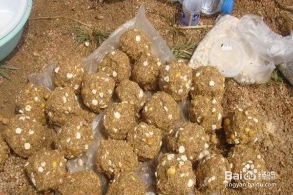 秋天能钓很多鱼的8个技巧，绝对让你满载而归！