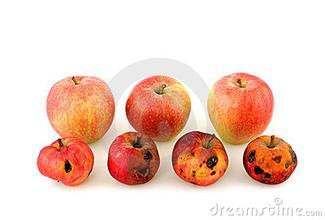 吃了必得癌症的食物