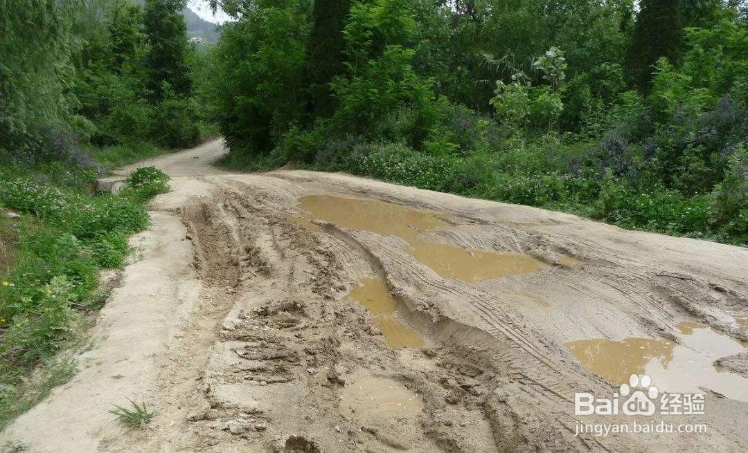 在泥泞道路上行车时,采取的正确做法是什么?