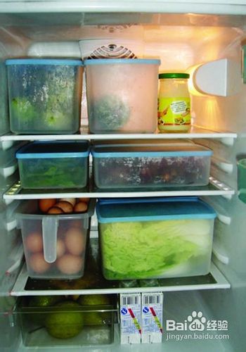 如何选好节能冰箱掌握常识最重要