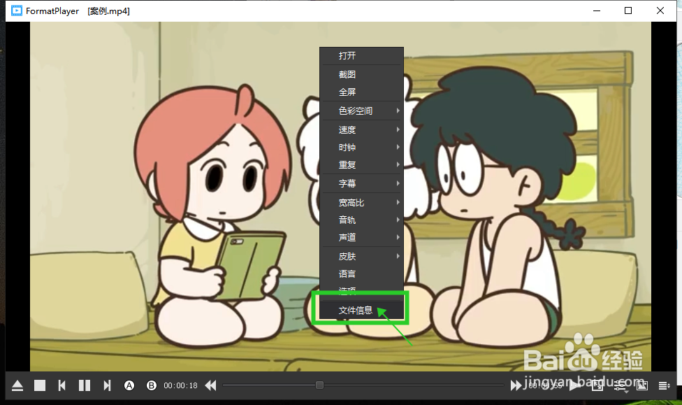 FormatPlayer怎样查看正在播放视频的详细信息