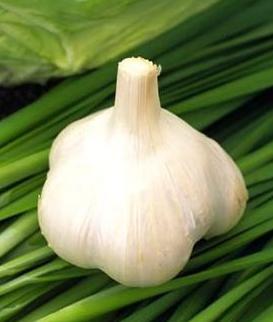 怎样在秋季更好的排毒去脂肪