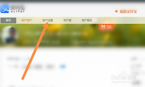 支付宝邮箱登录怎么弄呢