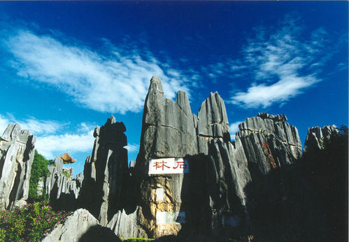 怎样云南旅游更开心