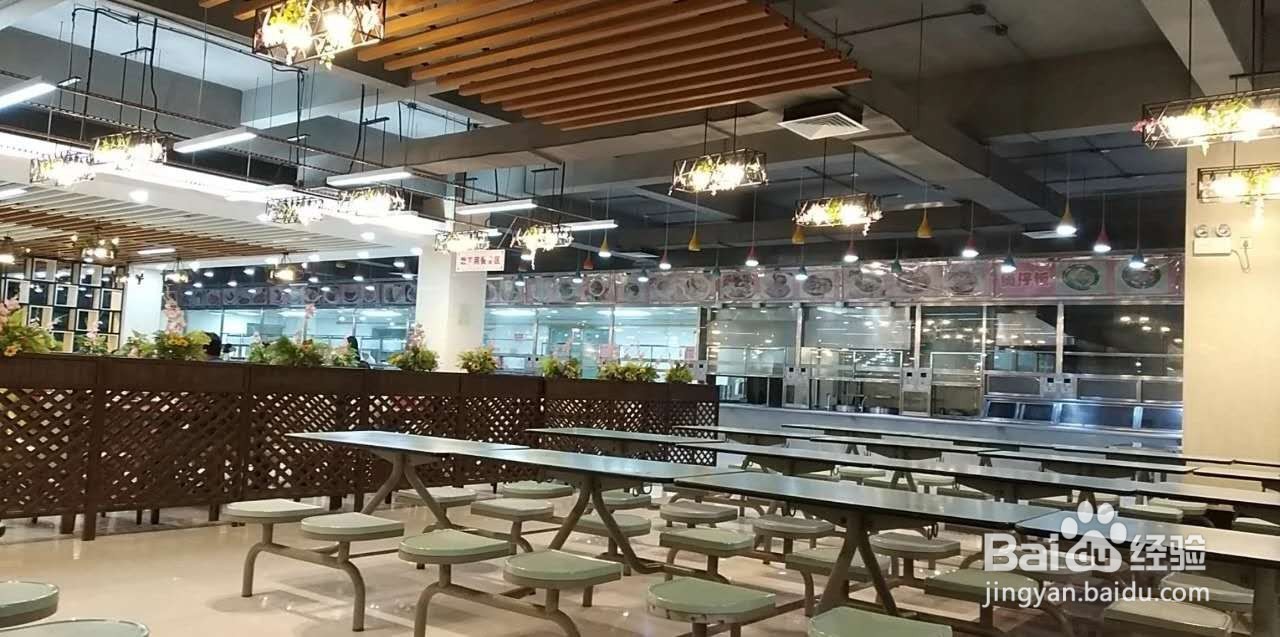 #萌新听我说#广东金融学院新生攻略—北苑食堂篇