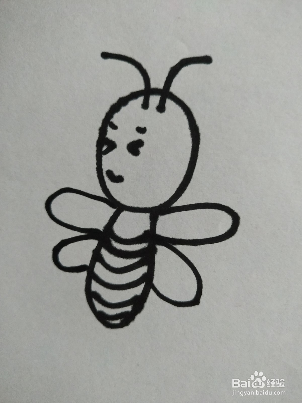 蜜蜂的简笔画技法8