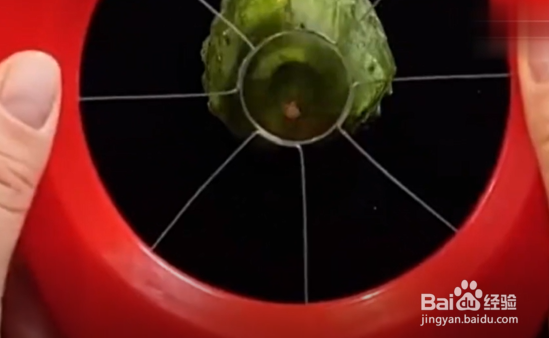 怎样在家种植芦荟、西红柿和黄瓜