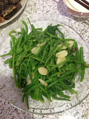 南瓜秧怎么做好吃