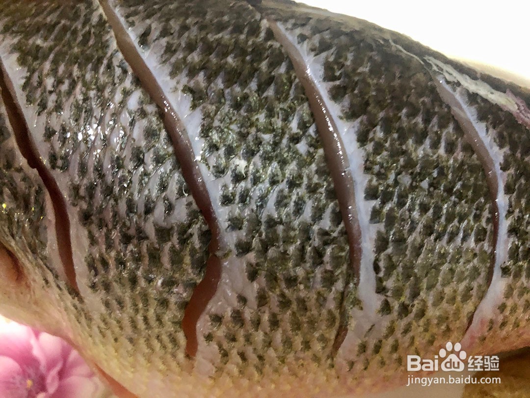 #好久不见# 清蒸鲈鱼怎么做好吃？