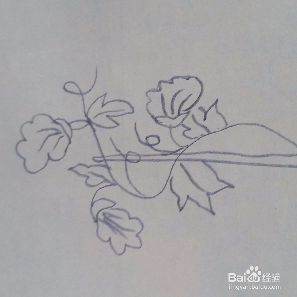 儿童简笔画牵牛花